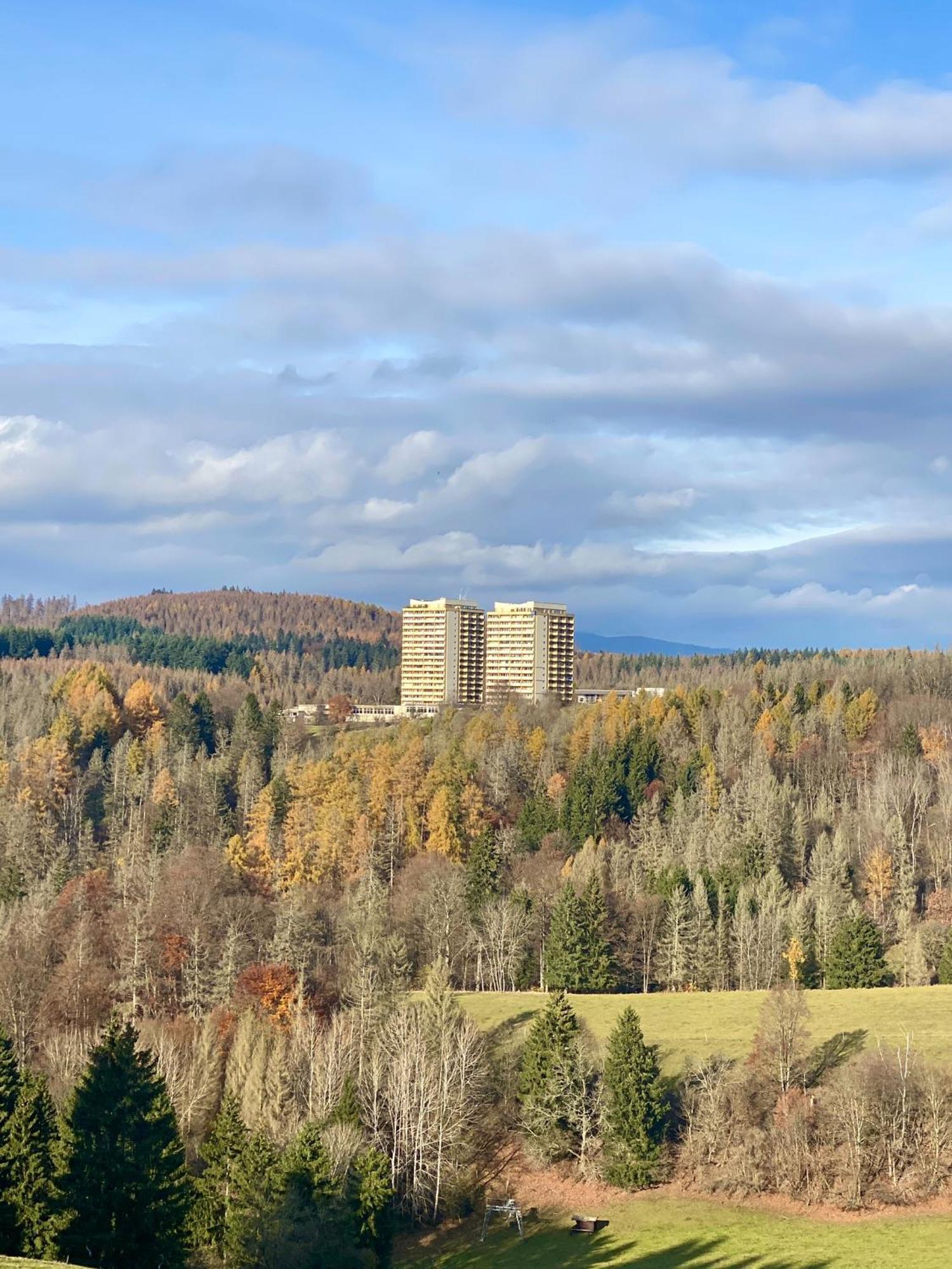Ferienwohnung Harz #4, Pool, Sauna, Wlan Braunlage Eksteriør billede
