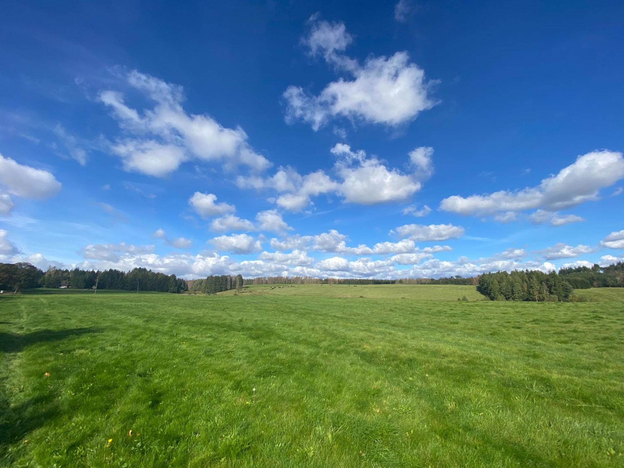 Ferienwohnung Harz #4, Pool, Sauna, Wlan Braunlage Eksteriør billede